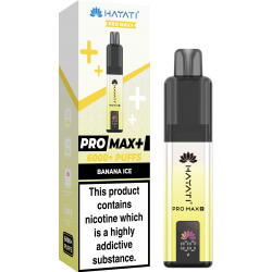 Hayati Pro Max Plus 6000 Pod Device